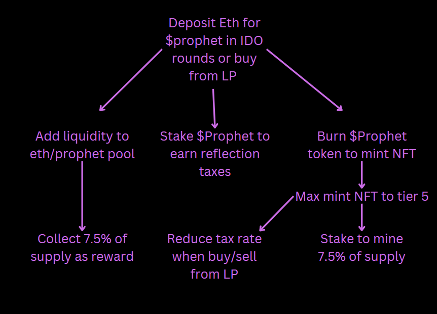 a chart describing the structure of the coin